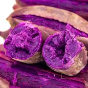 现挖沙地紫薯新鲜当季蔬菜粗粮香甜软糯紫罗兰紫心番薯