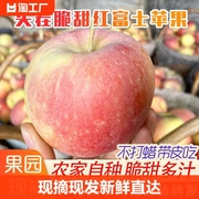 山东冰糖心丑苹果当季新鲜孕妇水果10斤整箱红富士脆甜5一级