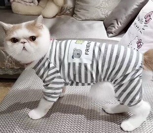 猫咪衣服条纹睡衣四脚防掉毛春夏装英短蓝猫布偶猫宠物狗狗家居服