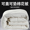 棉花被芯被褥临时盖被加厚保暖单人床垫，被胎宿舍学生纯棉便宜被子
