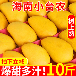 海南小台农芒果新鲜10斤小台芒应当季热带水果特产整箱