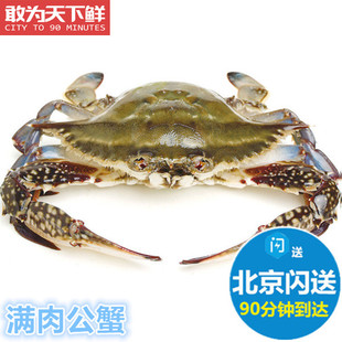 4-8两1只 北京闪送 鲜活 满肉 公梭子蟹 螃蟹 海蟹海鲜水产 飞蟹