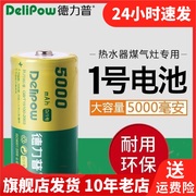 Delipow德力普1号电池1节干电池五号碱性电池普通干电池D5000MAH