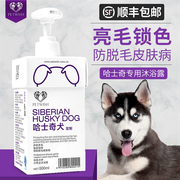 哈士奇沐浴露专用抑菌除臭止痒宠物幼犬杀螨香波，浴液狗狗洗澡用品