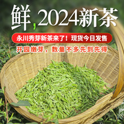 针秀永川秀芽2024新茶叶绿茶明前茶特级散茶正宗重庆永荣茶厂