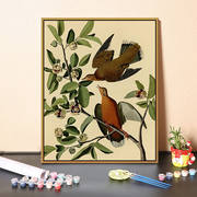 动物系列鸟类创意手绘涂鸦diy数字油画猫头鹰雄鹰，丙烯油彩画挂画
