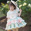 花园派对hulu童装比得兔，正版联名合作女童，蛋糕裙套装春夏