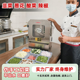 多功能电动切菜机商用自动切韭菜，葱花机酸菜切丝藕辣椒切片切段机