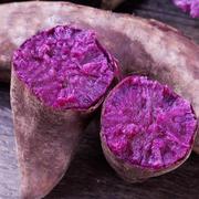 新鲜紫罗兰紫番薯农家自种沙堤现挖薯蜜薯山芋番薯蔬菜地瓜