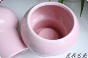 陶瓷花盆日韩异形，鹅黄色粉色，水培盆