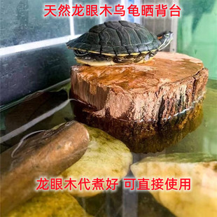 乌龟晒背台龙眼木免煮龟缸造景预防生病调节改善水质悬浮台树叶