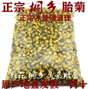 健康花茶新花桐乡特产头采胎菊正宗菊花茶杭白菊杭州菊花250g500g