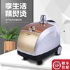 上海普迩p-7800豪华系列店铺，家用强劲蒸汽熨斗挂烫机