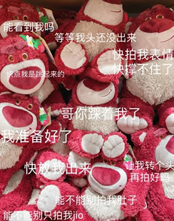 迪士尼联名有迪士尼防伪玩具，总动员lotso熊公仔(熊公仔)毛绒玩具草莓