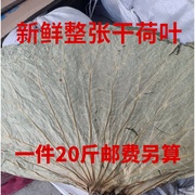 2023整张荷叶20斤干荷叶荷叶叫花鸡用统货干荷叶糯米鸡新鲜荷叶鸡