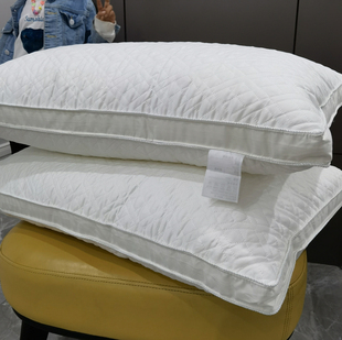 全棉羽丝绒枕芯护颈椎枕，长方形抗菌立体单人枕头一对纯棉