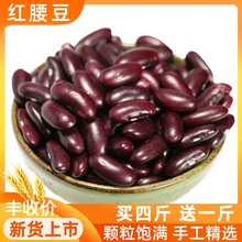 红芸豆大红豆500g云南农家自产新鲜大粒扁豆杂粮饭非即食红腰豆子