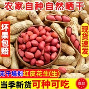 炒熟原味四粒红带壳红皮花生米新鲜铁锅红衣花生现炒花生坚果炒货