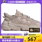 自营adidas阿迪达斯三叶草，ozweegoj男大童运动鞋hq1621