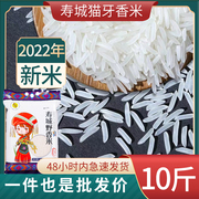 寿城农家大米新米煮饭丝苗晚稻长粒香米5斤10斤猫牙米真空装