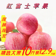 正宗陕西苹果9斤新鲜当季水果整箱脆甜红富士冰糖心丑平萍果