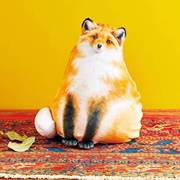 仿真动物玩偶变身狸猫狐狸创意毛绒抱枕枕头公仔