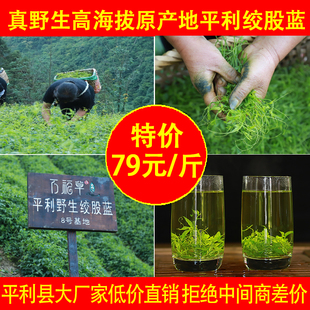 500g平利野生绞股蓝龙须茶，野生特级五叶，七叶胶股蓝龙须茶