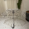 出日本可爱猫咪透明雨伞，轻量长柄小清新便携自动学生网红街拍伞