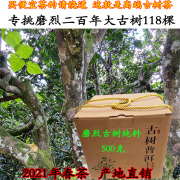 普洱茶散茶生茶临沧磨烈二百年118棵大古树茶纯料2021年春茶500克