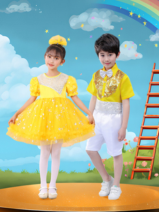 儿童蓬蓬裙小星星舞蹈演出服我们都是小星星表演服装闪亮黄色纱裙