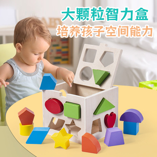 婴儿童塞塞乐益智早教智力盒子形状配对认知积木盒1-3岁2宝宝玩具