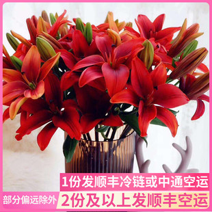 红宝石亚百合水养家用斗南鲜花，基地直发云南红色，批昆明花卉市场发