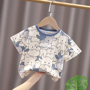 小童短袖t恤儿童2024年夏季卡通半袖衫，1-5岁婴儿宝宝男童洋气夏装
