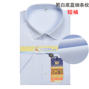 男士白底蓝色细条纹短袖衬衫商务正装银行职业工作装半袖条纹衬衣