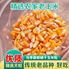 新货新鲜晒干玉米粒农家自种大苞米老品种黄玉米爆米花粗杂粮