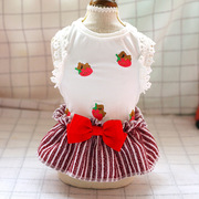 宠物狗狗猫咪休闲舒适衣服，春夏草莓熊条纹(熊条纹，)红色裙子比熊服饰