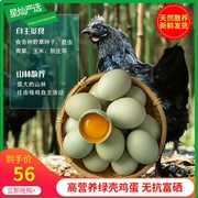 云南五黑鸡绿壳鸡蛋天然散养新鲜野鸡蛋营养无抗无腥味富硒30枚