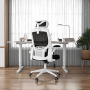 家用电脑椅舒适久坐椅子会议弓形办公椅人体工学椅子升降转椅