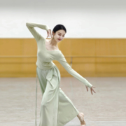 现代舞春夏舞蹈练功服上衣古典舞专业形体，训练飘逸长袖服装女艺考