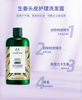 保税The Body Shop美体小铺生姜茶树洗发水西柚玫瑰沐浴露