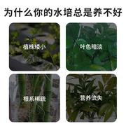 水培植物营养液家用盆栽通用型铜钱草专用养花肥料富贵竹碗莲种球