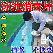 游泳池消毒片净水剂除臭杀jun浴池温泉除藻油膜浑水沉淀净化泡腾