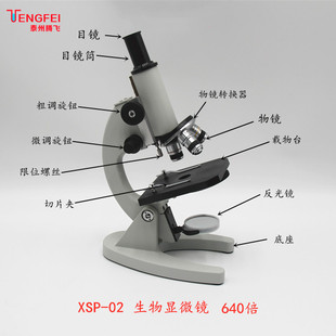 生物显微镜640倍初中小学高中生物实验室学生实验器材教学仪器q.