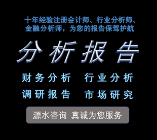 财务分析报告财务数据分析财务报表分析行业财务上市公司审计会计