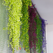 仿真金钟柳壁挂花藤塑料绿植物，墙吊兰假花盆栽餐客厅幼儿园装饰花