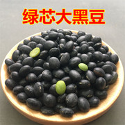 绿芯大黑豆粗粮250g半斤 农家自种黑豆 五谷杂粮打豆浆