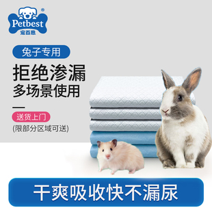 兔子尿垫宠物兔专用尿不湿纸尿布兔笼隔尿垫片一次性兔子用品尿片