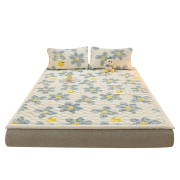 a类大豆抗菌牛奶绒床垫，软垫家用加厚褥子，垫被宿舍学生单人床毯子