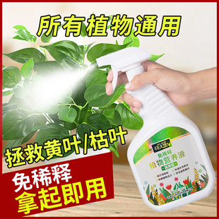 营养液植物通用型养花发财树绿植花卉，绿萝叶面喷施免稀释盆栽肥料