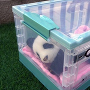 1.5月龄熊猫，崽崽收纳箱摆拍道具玩具收纳玩偶道具